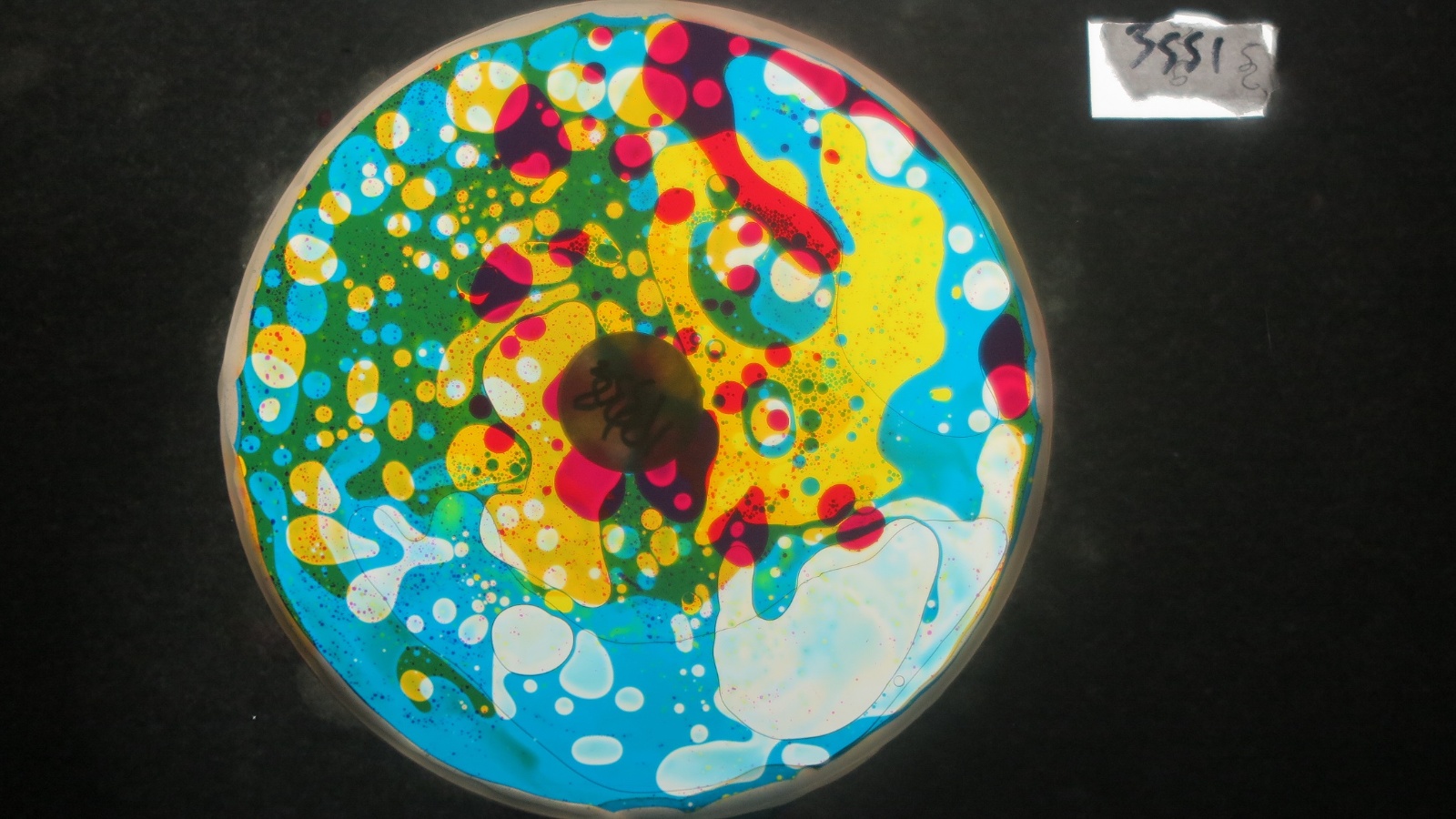 BV3551 bubble vision oil wheel